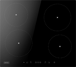 Induktionsfeld Reparatur Hanau